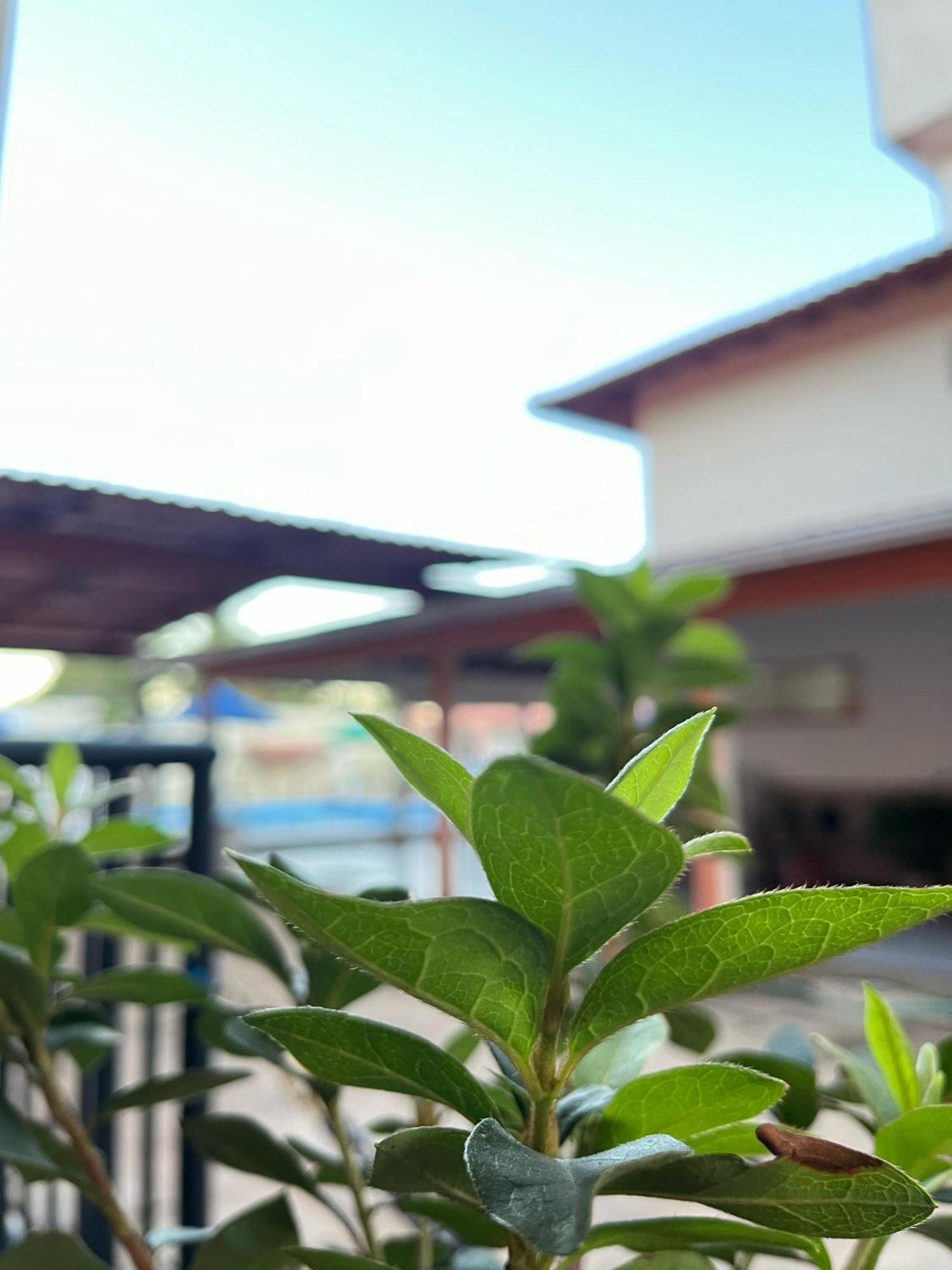 Pousada Lorenise Sao Mateus Luaran gambar